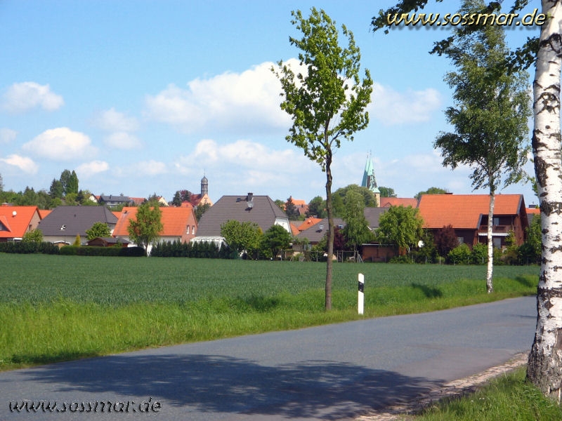 Blick in Richtung Hohenhameln          (aufgenommen am 13.05.2005)