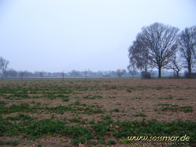 Blick auf Somar aus der Feldmark (Dez 2007)        (aufgenommen am 23.12.2007)