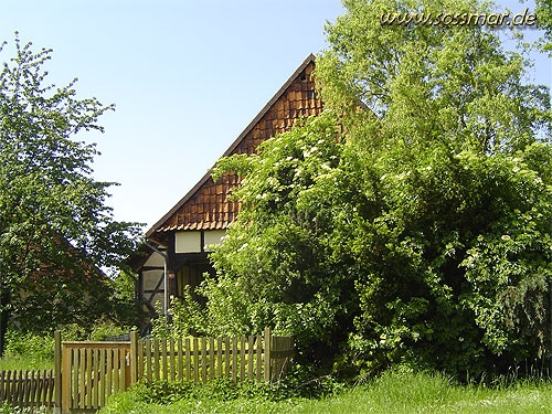 Fachwerkhaus Jgerstrae - mit freundlicher Genehmigung von Stefan Niemann